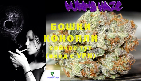 PSILOCYBIN Белоозёрский