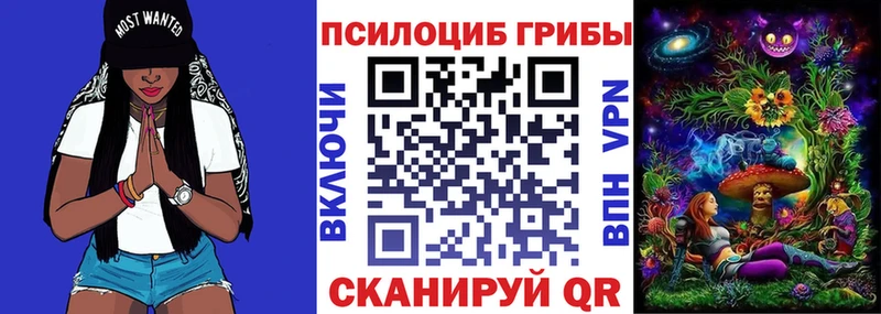 Псилоцибиновые грибы Cubensis  Купить где  Бабаево 
